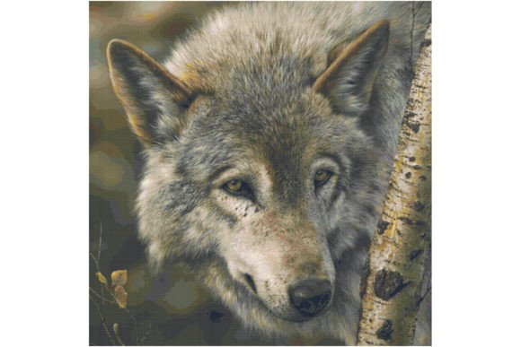 Reviewing the Wildlife Wolf Cross Stitch Pattern